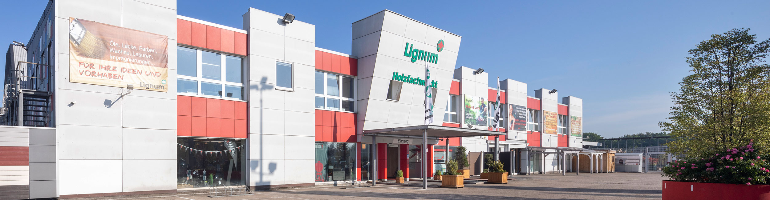Lignum - Ihr HOLZPROFI in Münster